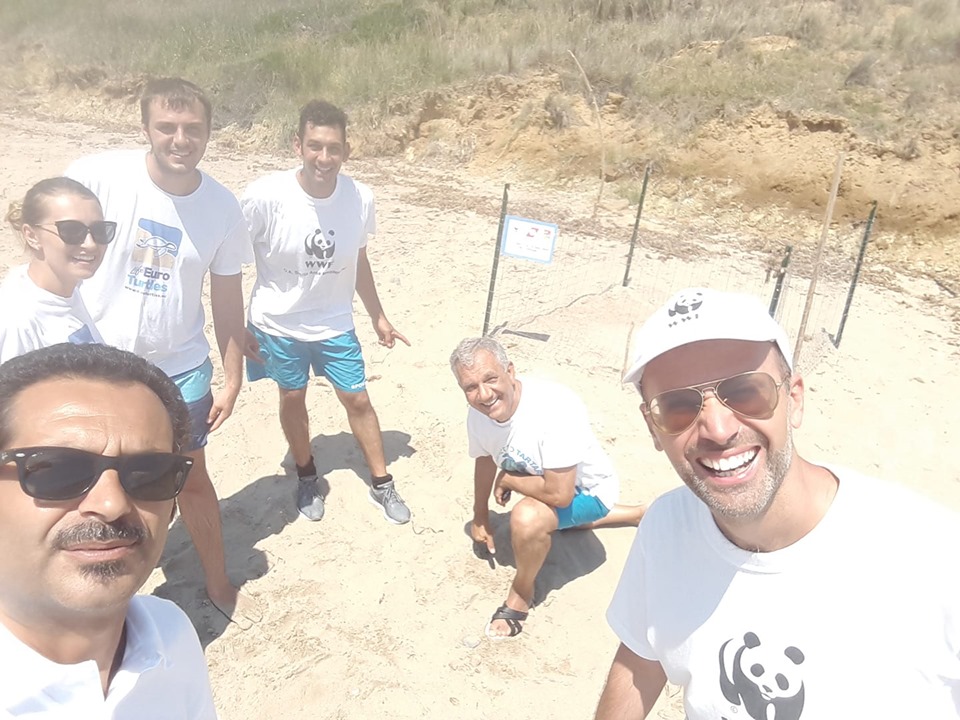 Sciacca, secondo nido di tartaruga Caretta caretta sulla spiaggia di Capo San Marco
