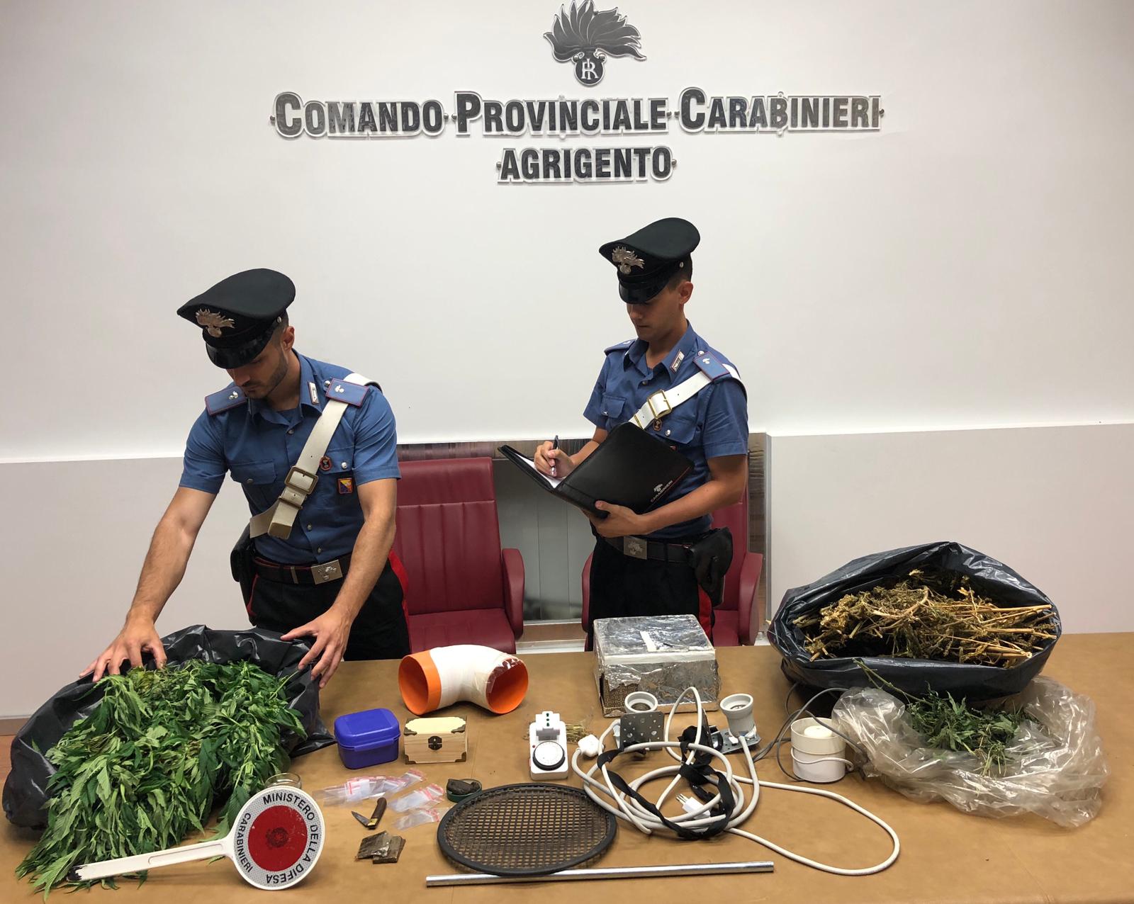 Ad Agrigento coltivava marijuana sul terrazzo e viene arrestato ed a Menfi denuncia per detenzione di "erba", bilancino e denaro