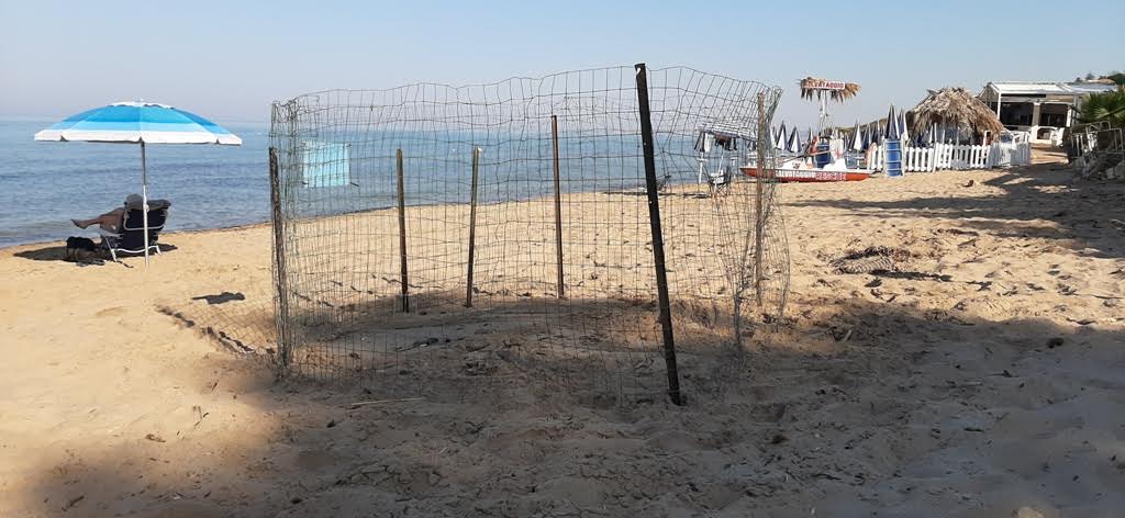 Spiaggia di Capo San Marco, il Wwf ripristina il recinto di uno dei due nidi di Caretta caretta a seguito di alcuni danneggiamenti