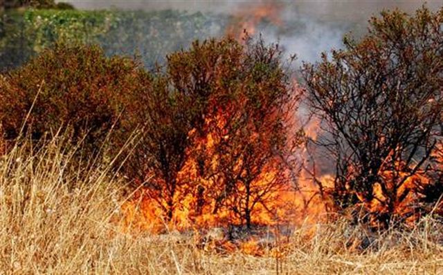 Un incendio distrugge il teatro di paglia a Bivona, il sindaco: "Non ci faremo intimidire"