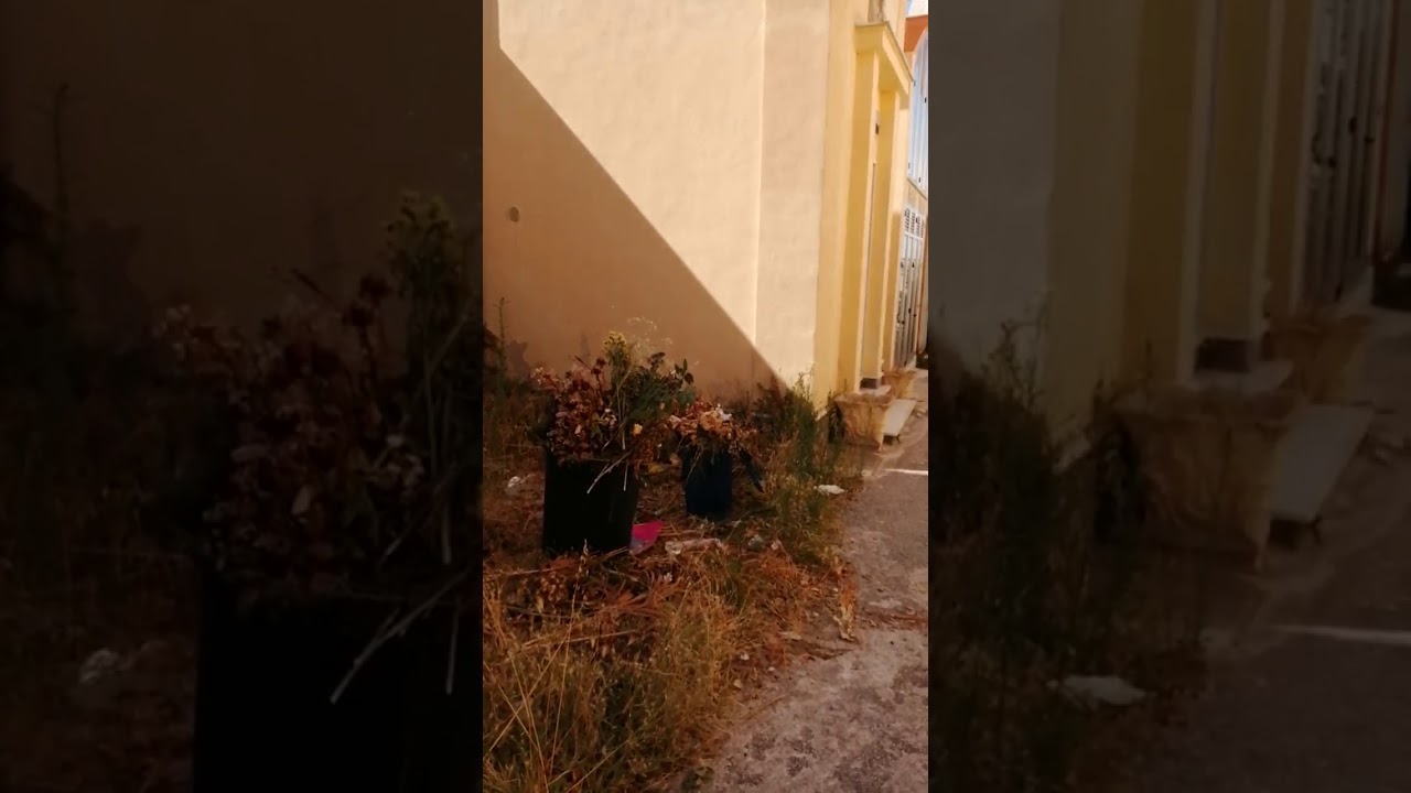 Pulizia straordinaria del cimitero annunciata ma mai realizzata, resta nel degrado l'area cimiteriale saccense
