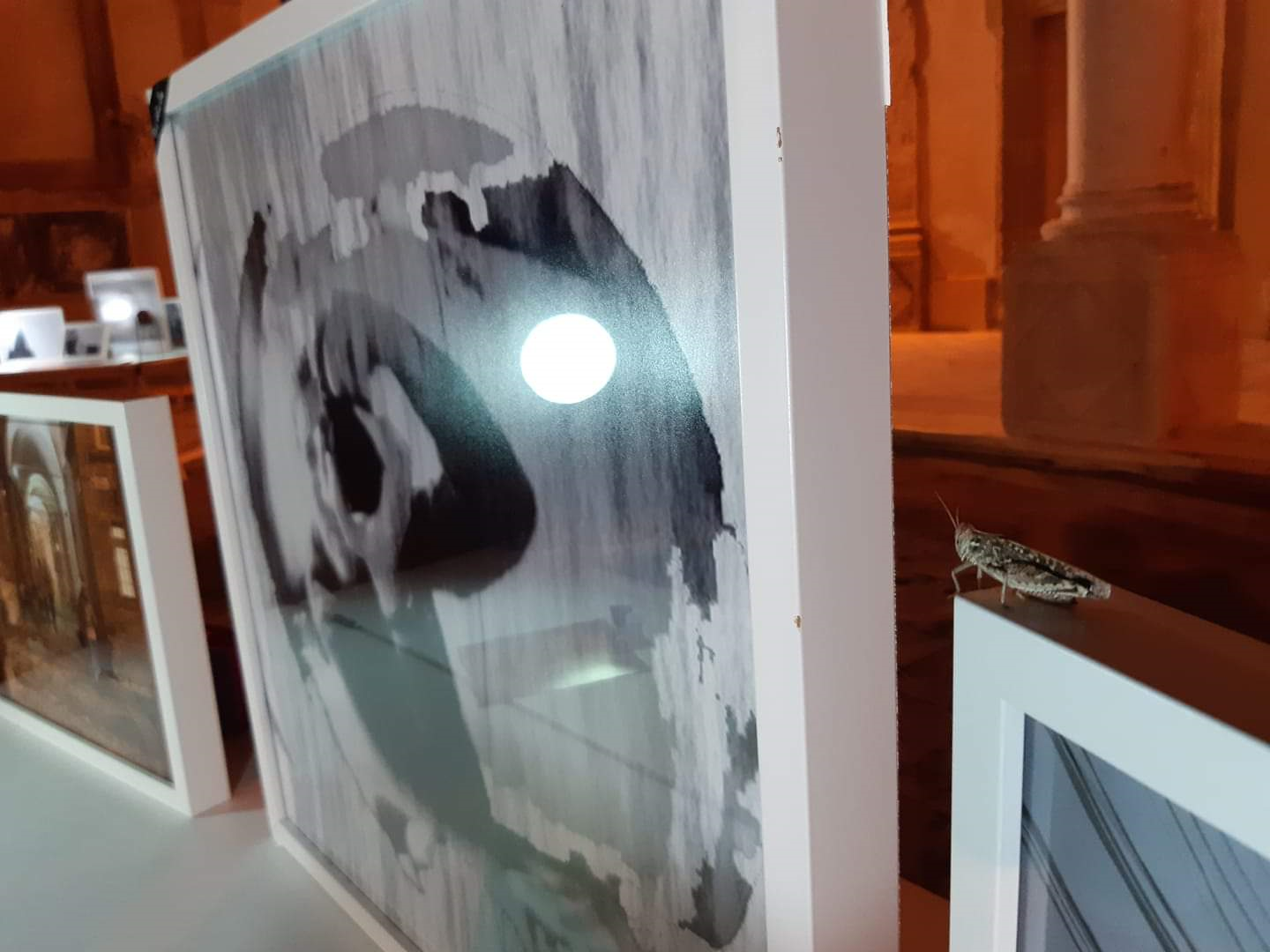 Omaggio al fotografo Fabrizio Piro, inaugurata ieri sera la mostra "Life is contrast"