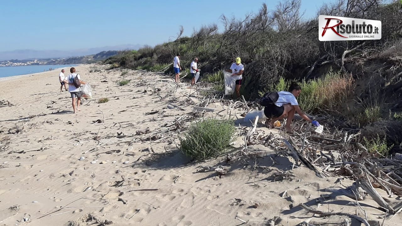 Il Wwf in azione questa mattina alla foce del fiume Platani per liberare la spiaggia dalla plastica