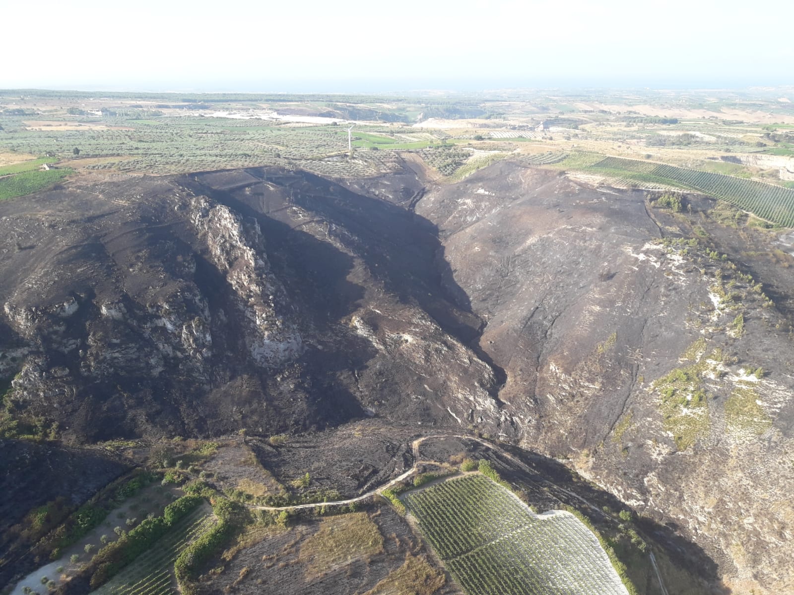 Un incendio brucia 20 ettari di terreno a Montevago, a fuoco anche uliveti e vigneti
