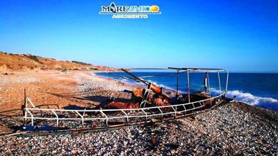 Carretta del mare lasciata in spiaggia data a fuoco la notte di Ferragosto a Piana Grande, la denuncia di Mareamico