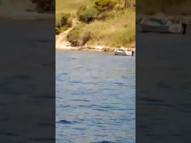 Una lancia di 5 metri finita sugli scogli la barca impiegata per lo sbarco di 11 migranti a Renella