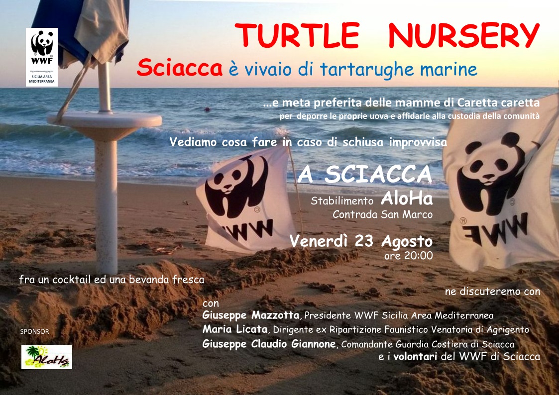“Turtle Nursery”, incontro istruttivo a Sciacca per prepararsi alla schiusa delle uova di Caretta caretta