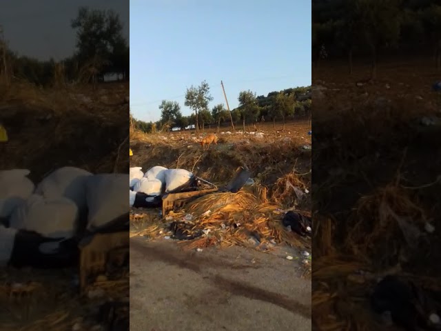 Rifiuti a San Calogero, ancora un'altra domenica di degrado