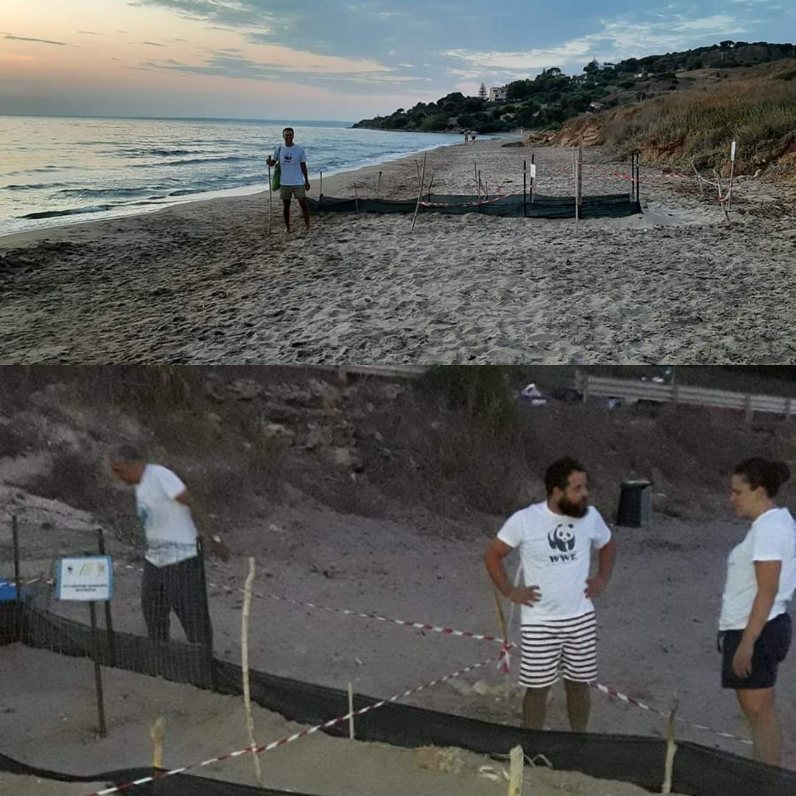 Sciacca, montati corridoi di fuga ai due nidi di Caretta caretta a Capo San Marco