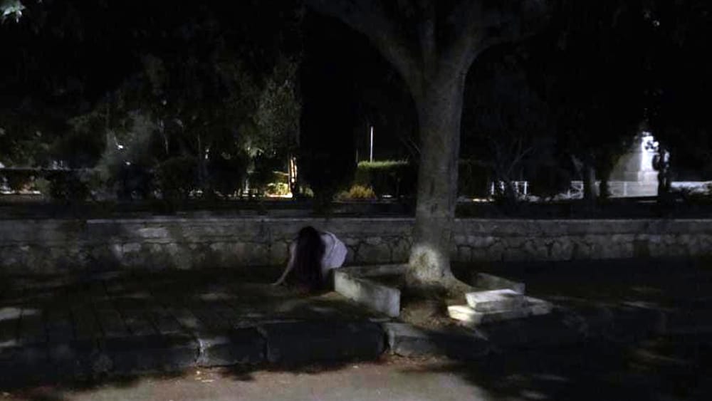 Altro avvistamento nell'agrigentino per Samara, stavolta segnalazione al Viale Della Vittoria