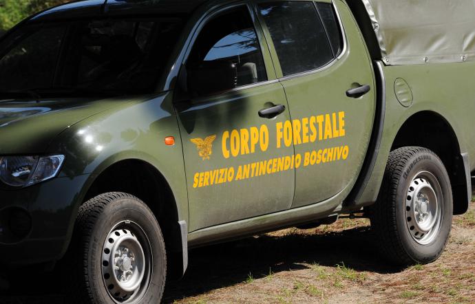 Viali parafuoco non realizzati tra Sambuca e Santa Margherita, la Forestale ancora in azione e già elevate 25 sanzioni