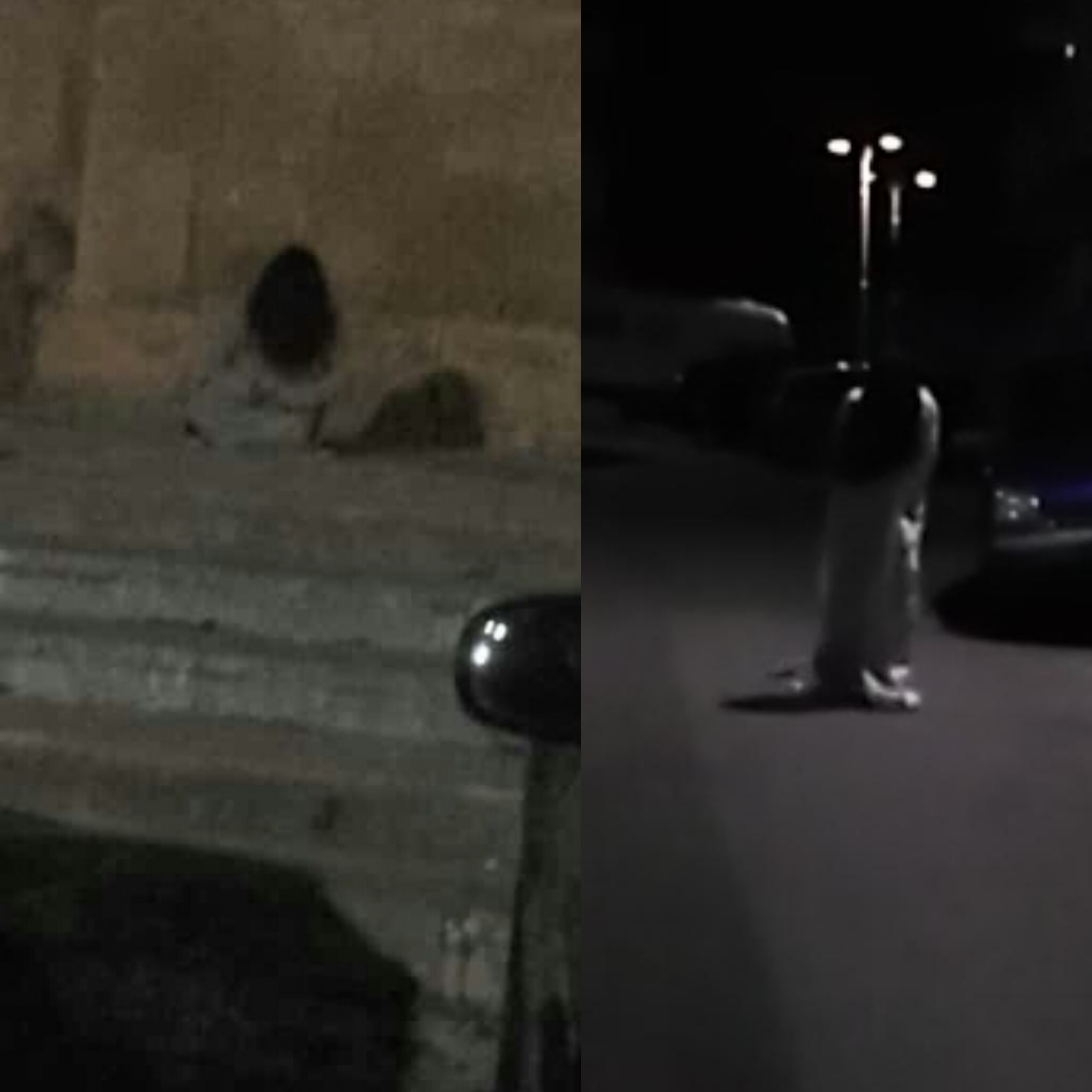Samara arriva  anche a Sciacca, avvistata stasera a San Michele