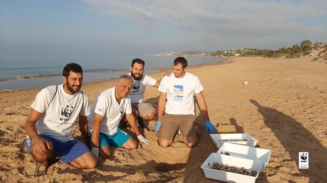 Festa a Menfi per l'arrivo delle tartarughe "Caretta-caretta"