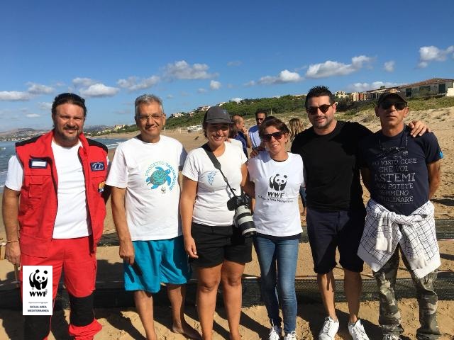 Altre 41 tartarughe sulle spiagge Agrigentine