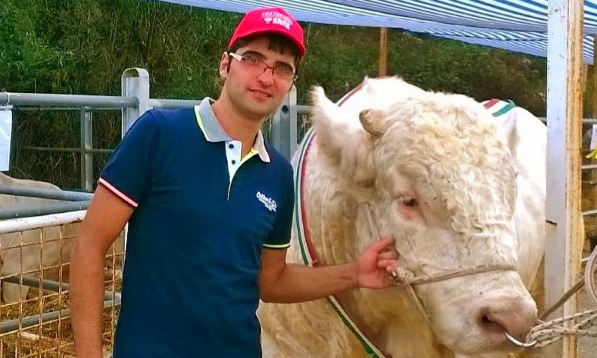 Latte appena munto alla spina: la genialità di Stefano Massaro