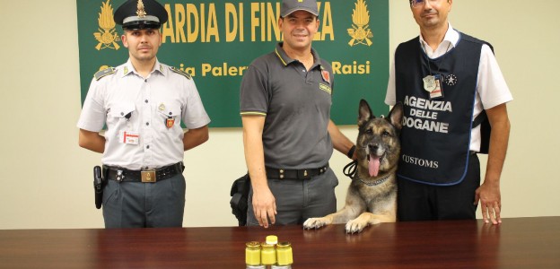Crema alla marijuana nascosta in valigia: scovata dai cani antidroga Ugo e Alex