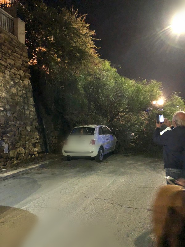 Albero cade su auto in via Madonnuzza, intervento dei vigili del fuoco