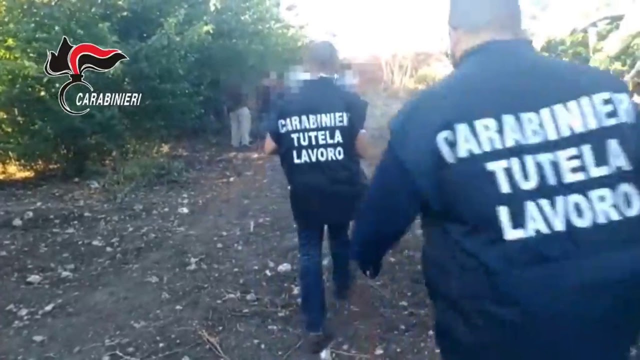 "Lavoratori che arrivavano dall'est con visto turistico poi sfruttati nelle campagne per pochi euro all'ora", scatta l'operazione "Ponos" con sette fermi (Video)