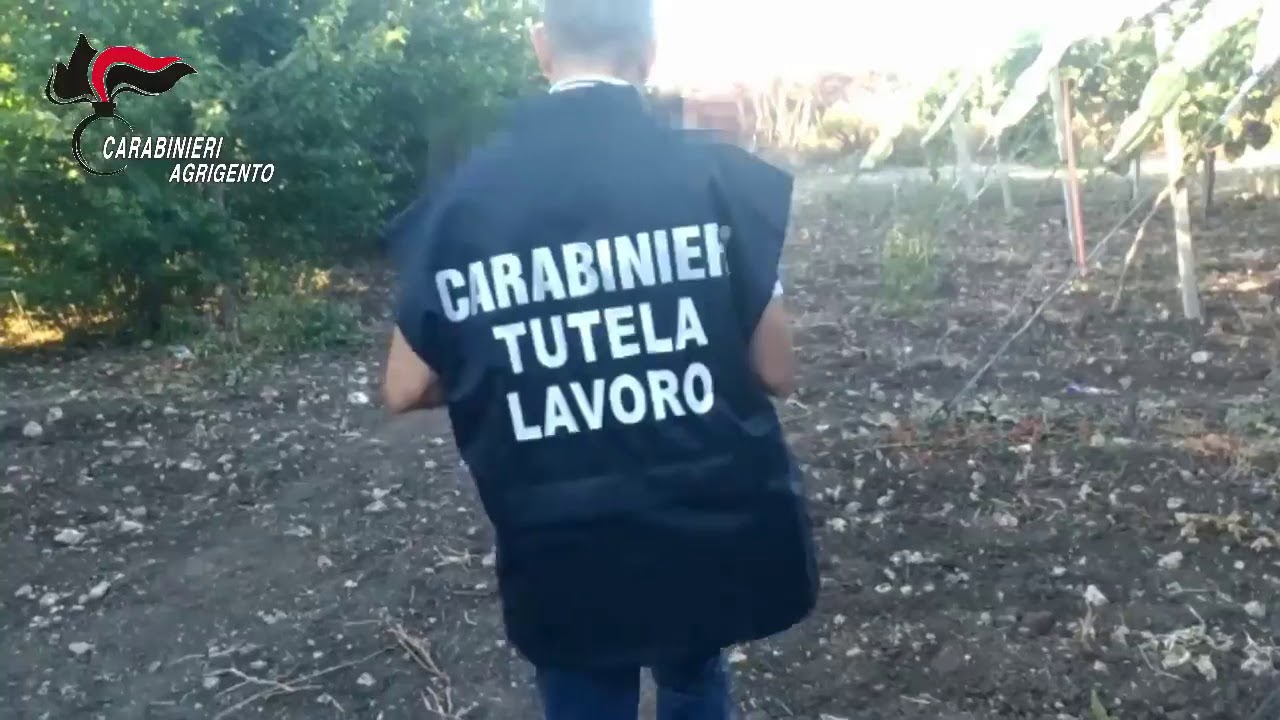 Controlli dei carabinieri nelle campagne di Ribera, una denuncia per caporalato e un arresto per droga