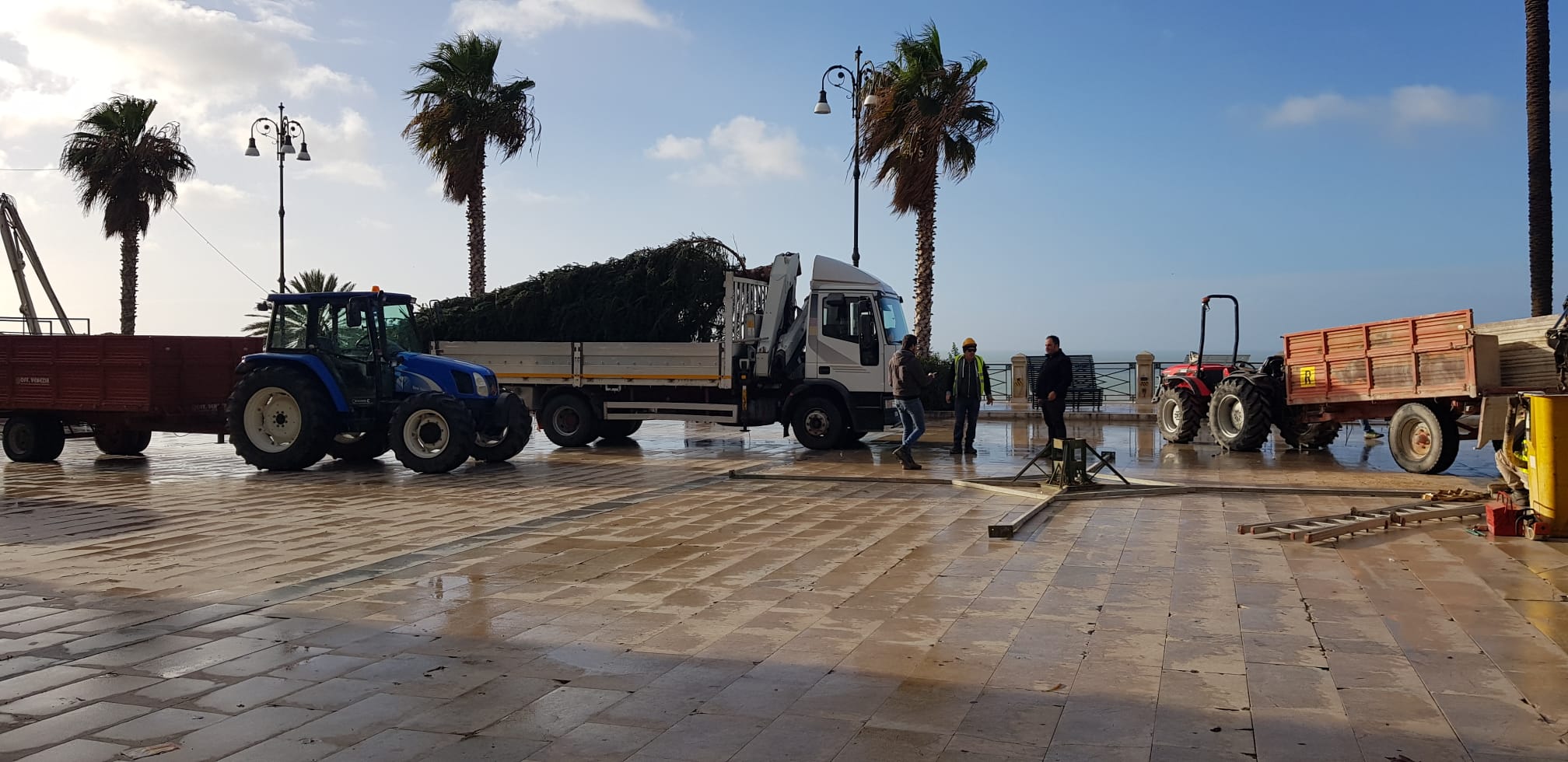 E' arrivato l'albero di Natale in piazza Scandaliato e da oggi pomeriggio scatta la Ztl