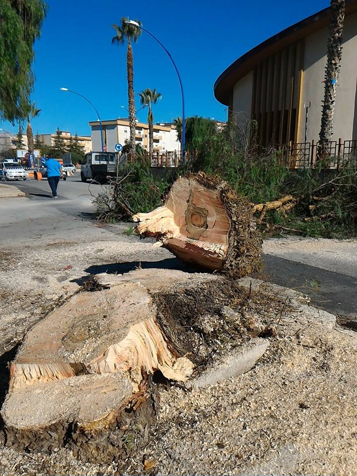 La tempesta di Santa Lucia sferza anche l'agrigentino, raffiche di vento anche per le prossime ore