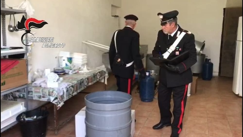 Caseificio abusivo degli orrori a Raffadali, topi tra formaggi e ricotta