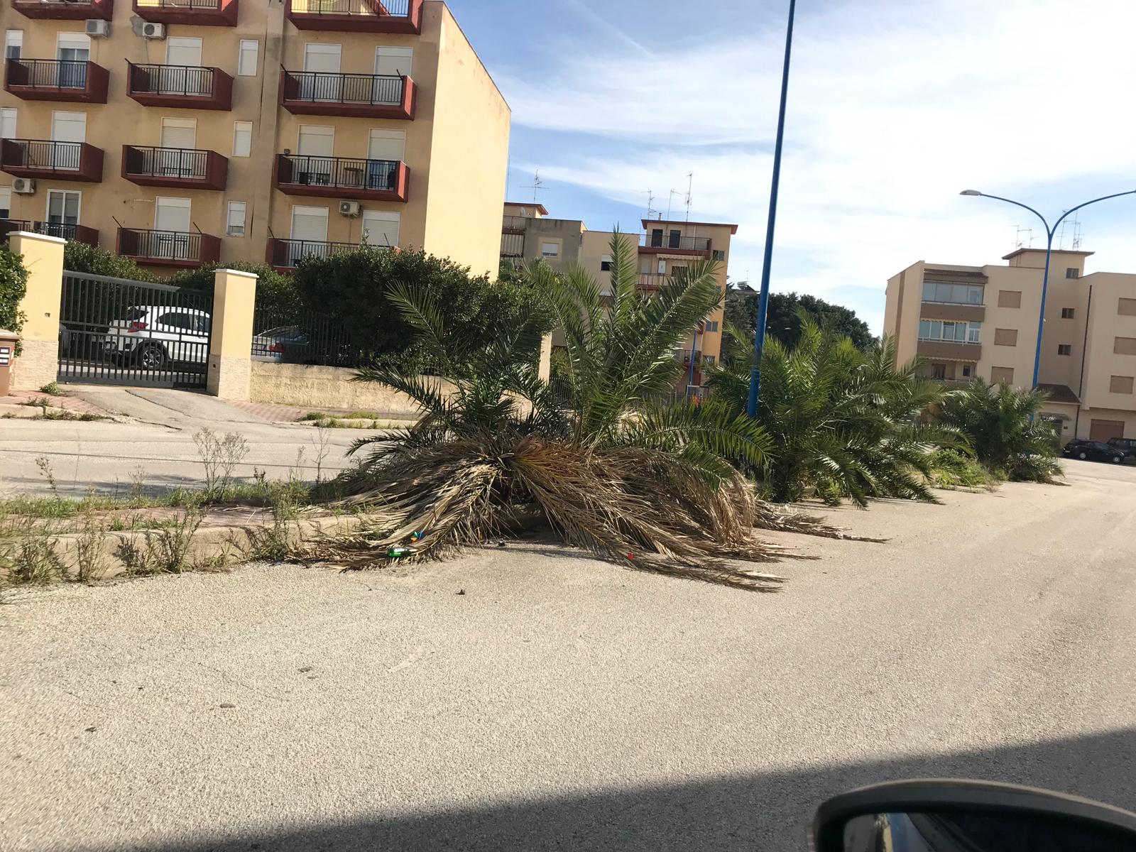 Sporcizia e pericoli nel centro urbano a Ribera, Li Voti e Lupo:"l'amministrazione provveda subito a rendere decoroso e pulito il paese"
