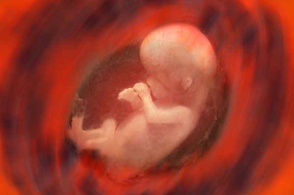 Test del DNA fetale gratuito per tutte le donne in gravidanza, Emilia Romagna prima regione di partenza