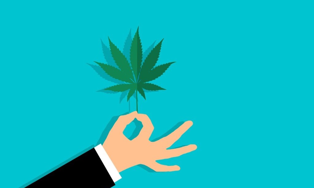 Farmaci a base di cannabis gratis in Sicilia per i pazienti cronici