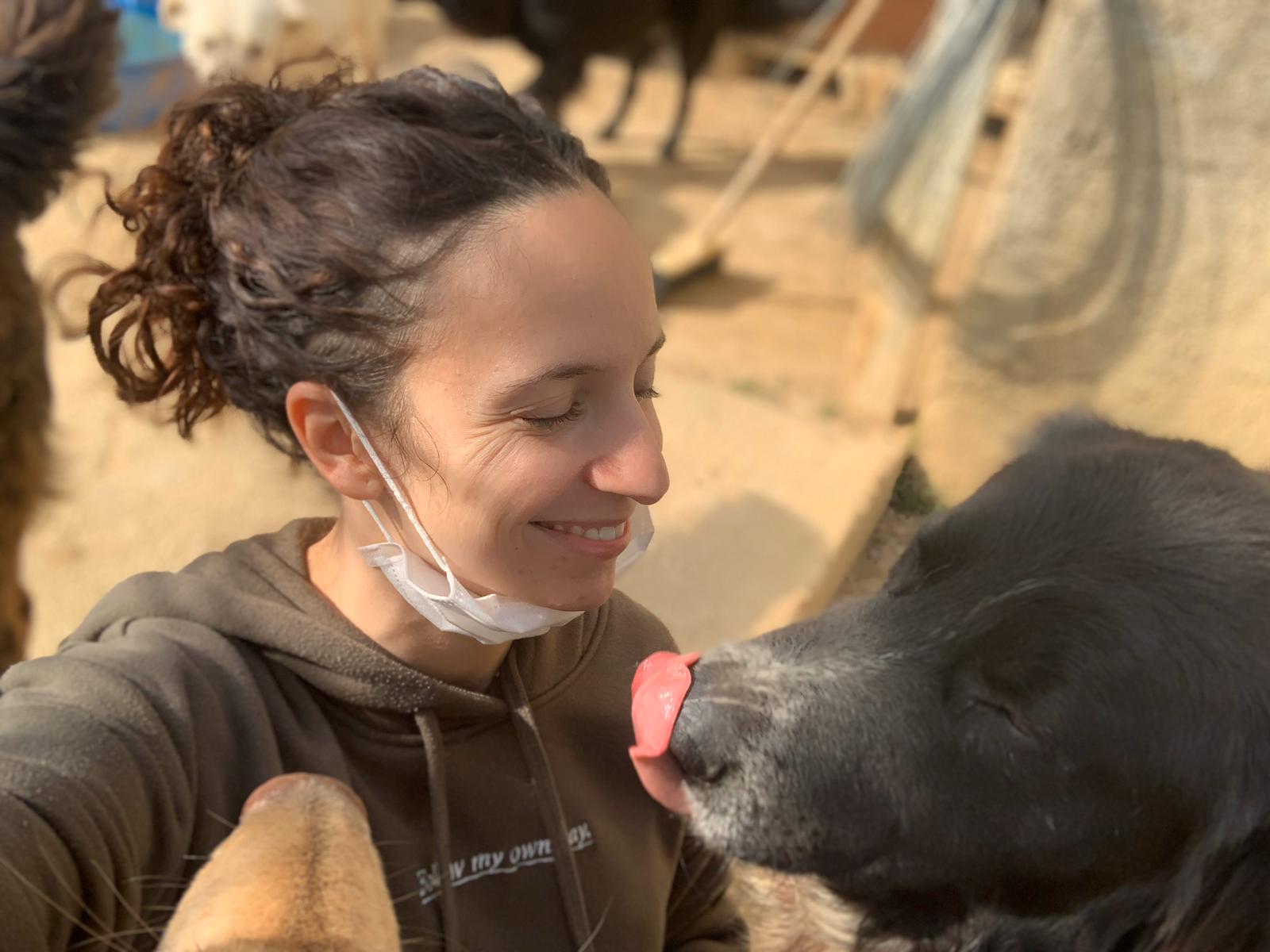 Chiara Calasanzio: “Ogni giorno mi prendo cura dei miei 70 cani dell’oasi, ma anche in queste ore c’è chi li abbandona”