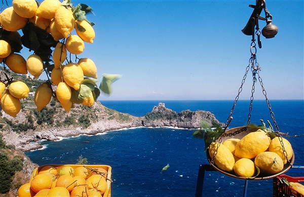 Coronavirus, i limoni disinfettanti naturali ed esplode il prezzo dell’agrume: a Sciacca si registra un aumento della richiesta