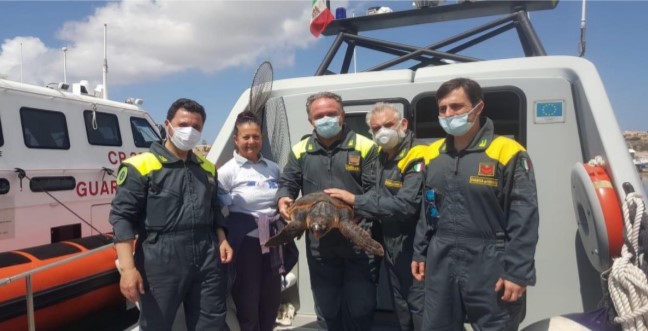 La Guardia di finanza salva una Caretta caretta ferita recuperata al largo di Lampedusa