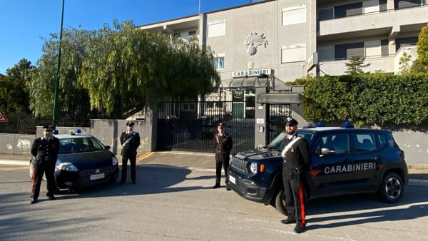 Cocaina purissima del valore di 50 mila euro e 13 mila di denaro contante ben nascosti, arrestati padre e figlio