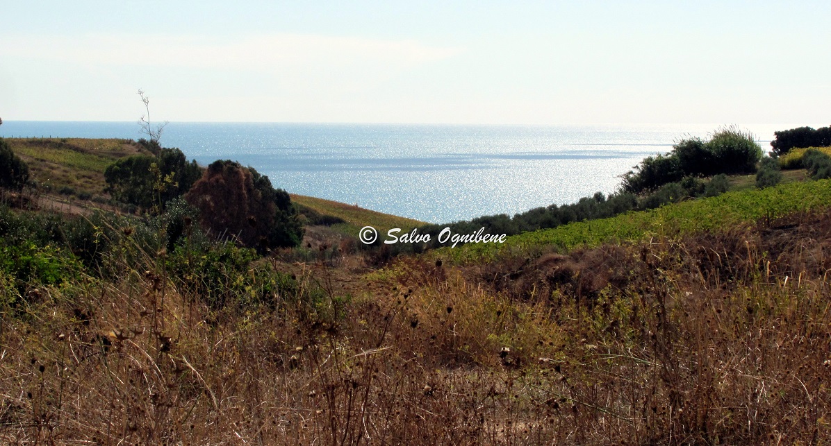 Gli Operatori Turistici della Provincia di Agrigento inviano una richiesta al presidente Musumeci