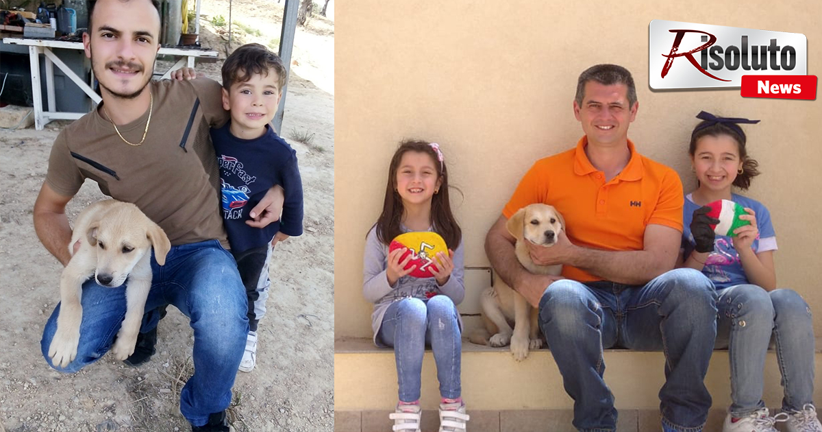 Due famiglie saccensi adottano i cuccioli di setter maremmano: "Questo regalo ha reso i nostri bimbi felici"