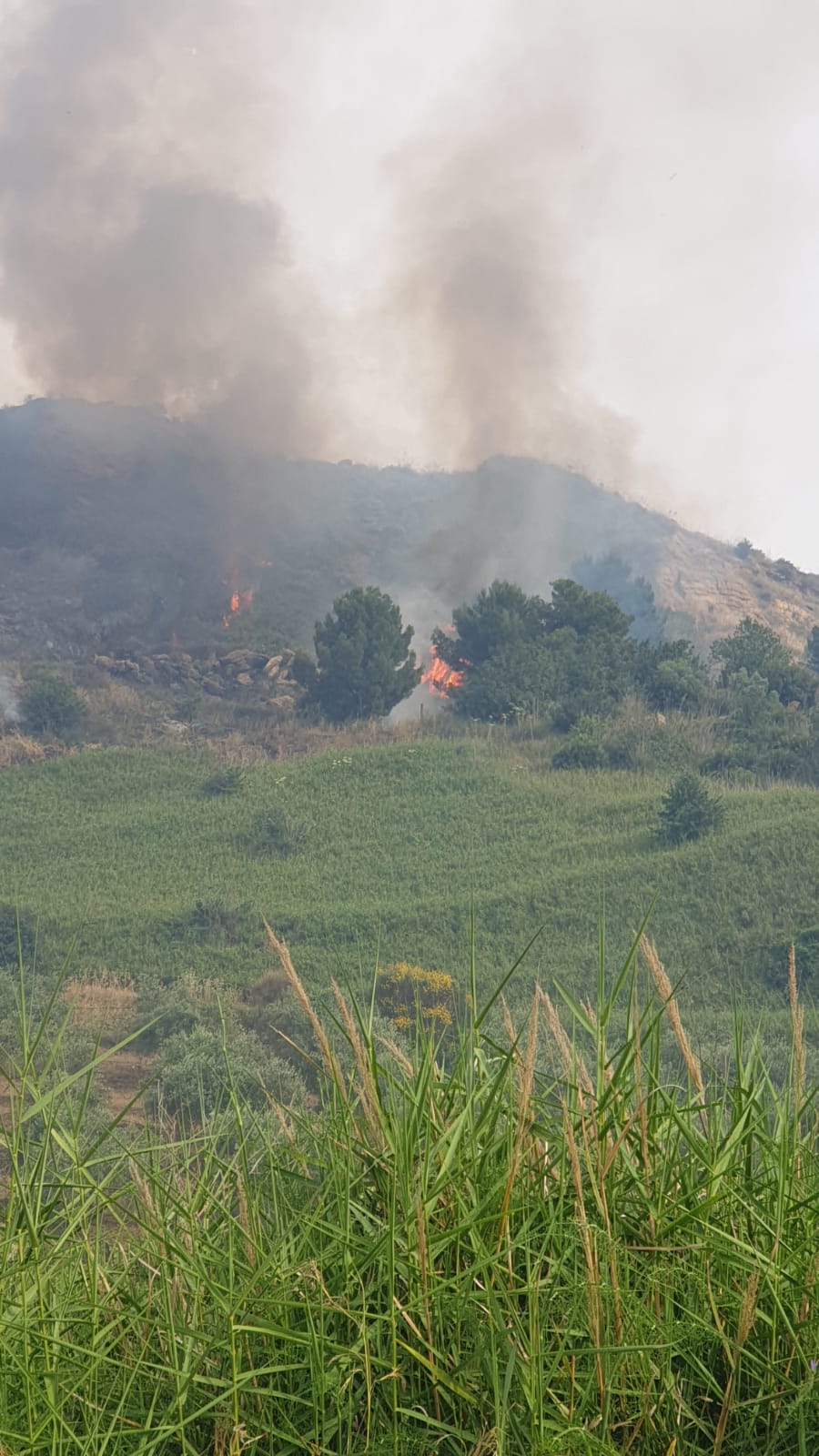 Vasto incendio nella contrada Lumia di Sciacca, in azione due squadre dei vigili del fuoco