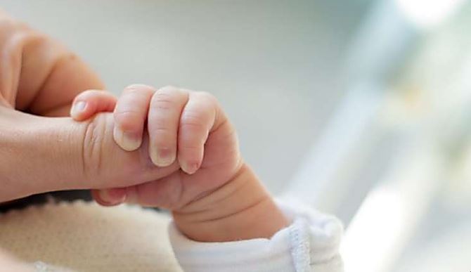 Un neonato riceve il fegato dal suo papà, all’Ismett di Palermo l’intervento riuscito alla perfezione