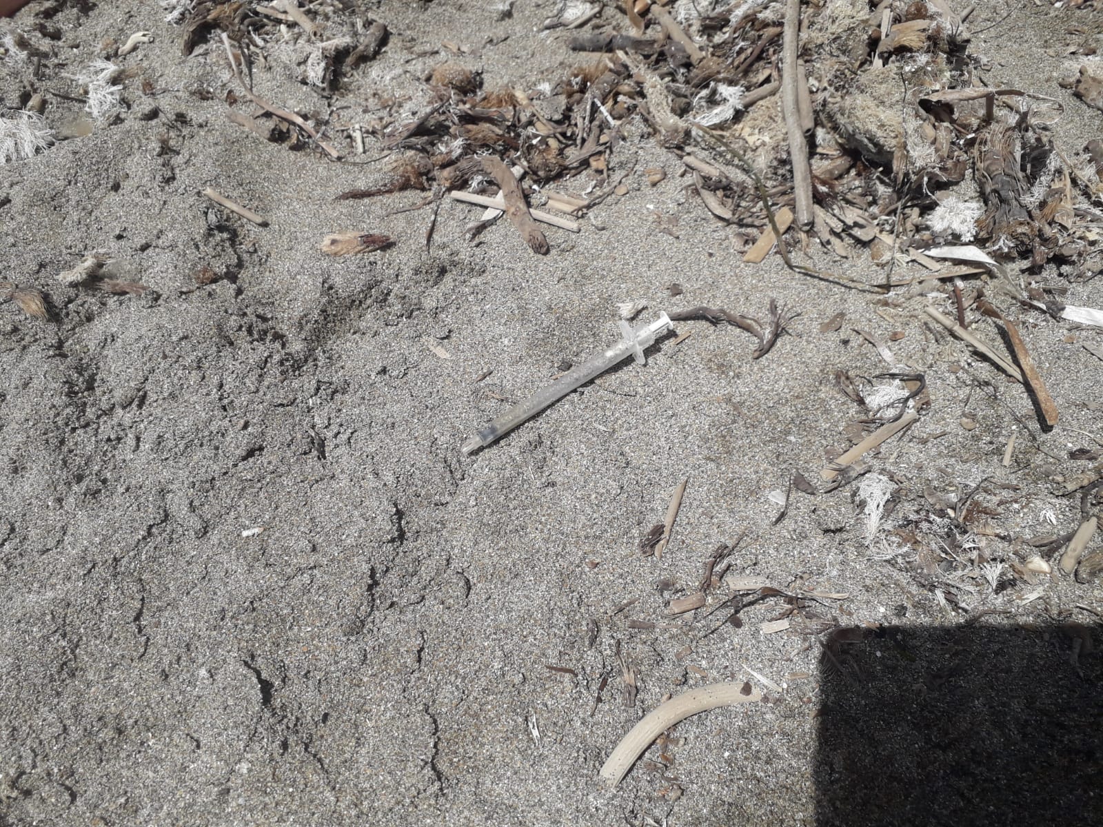 Siringa sulla spiaggia della Renella a Sciacca dove giocavano alcuni bambini