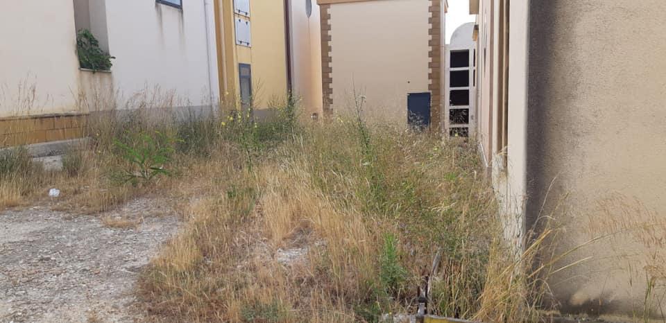 Il cimitero di Sciacca pieno di erbacce, consiglieri comunali incalzano l'amministrazione