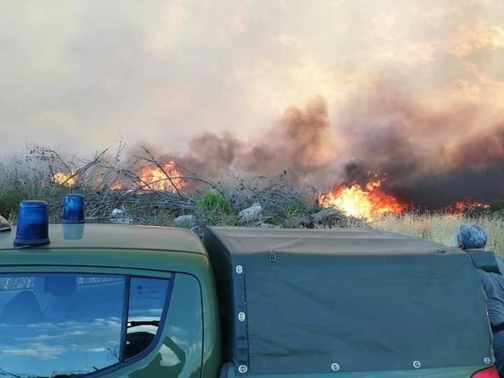 A fuoco il bosco del Magaggiaro, prime fiamme nel Belice