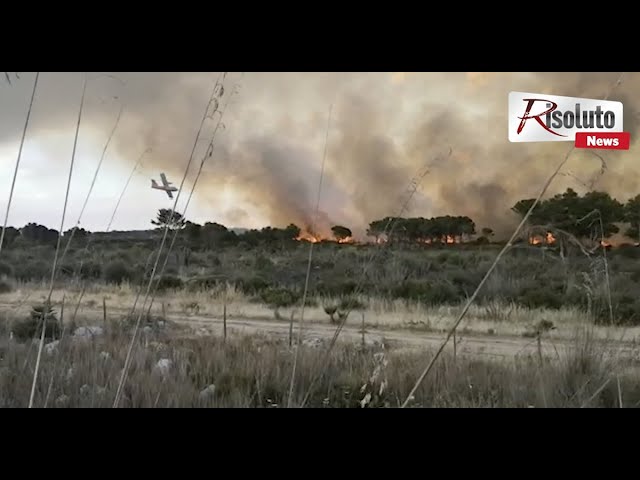 Incendio doloso al Magaggiaro, in fumo 100 ettari di bosco (Video)