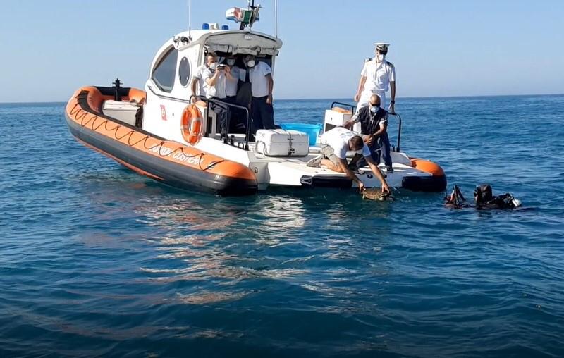 Torna nelle acque di Sciacca una tartaruga marina, il WWF dedica la liberazione a John Peter Sloan