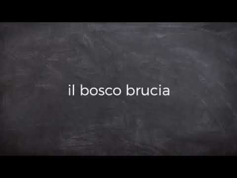 “Il bosco brucia”, favola dell'associazione “Ad Alta Voce” in collaborazione con il Wwf  per sensibilizzare i più piccoli