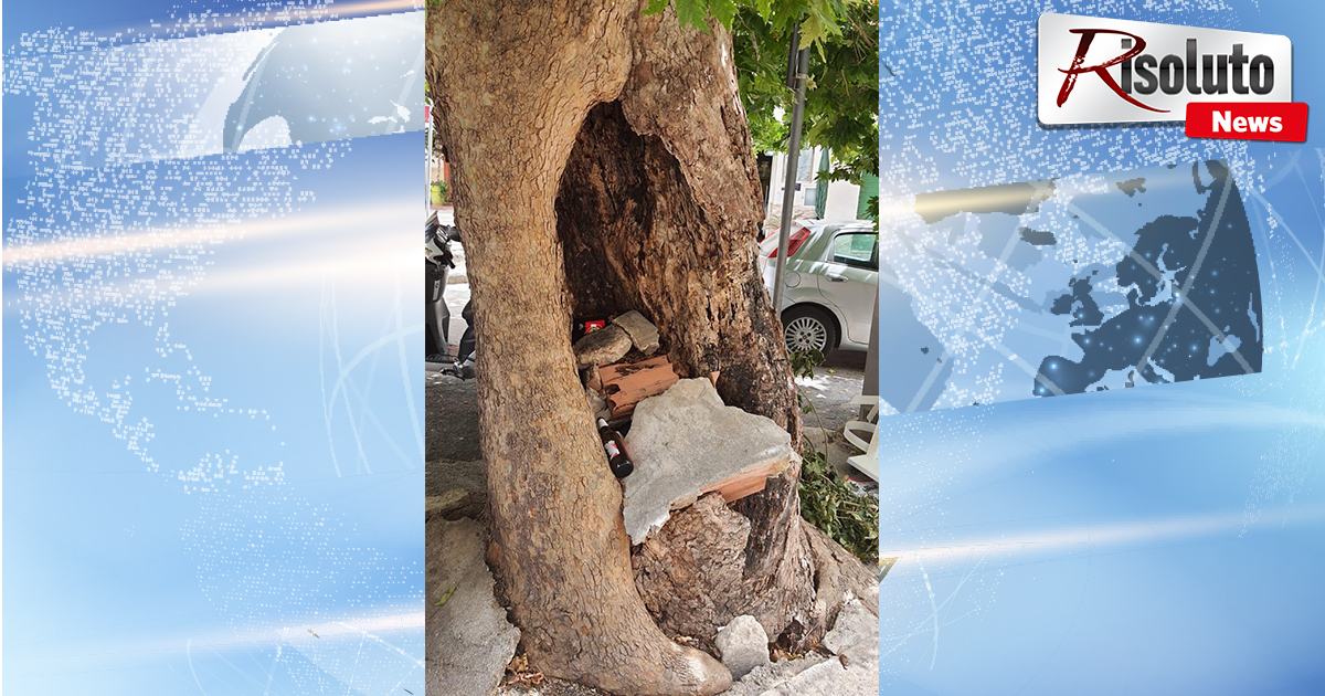 Rifiuti perfino nel tronco di un albero, mentre i disservizi della raccolta a Sciacca non si fermano. Consiglieri chiedono di essere informati dal sindaco