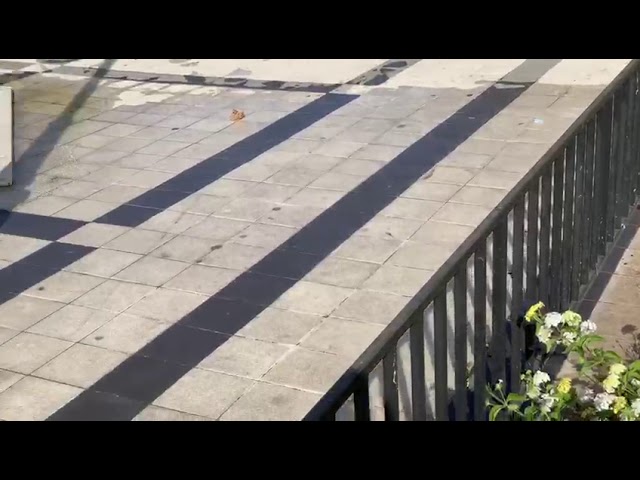 Perdita idrica al centro di Sciacca, allagate le vie Figuli e Agatocle (Video)