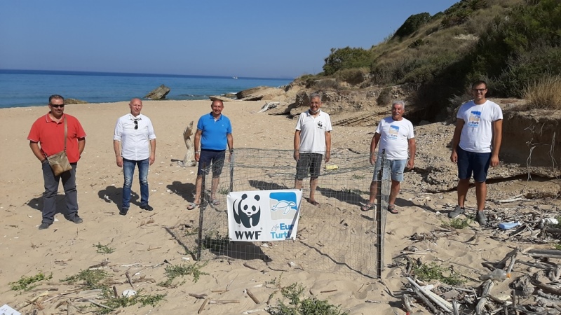 Primo nido di tartaruga marina mai trovato nella storia a Ribera