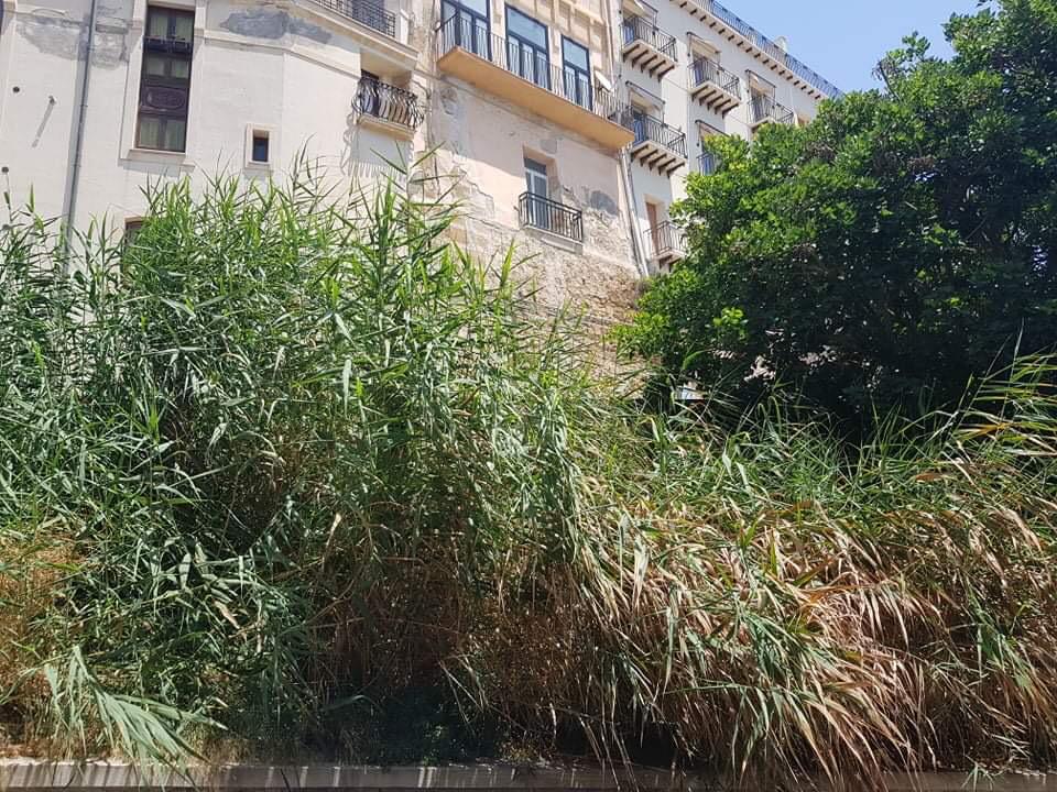Mancato decoro cittadino,cinque consiglieri comunali accusano l'amministrazione:"Saccensi mai così tristi e indignati"