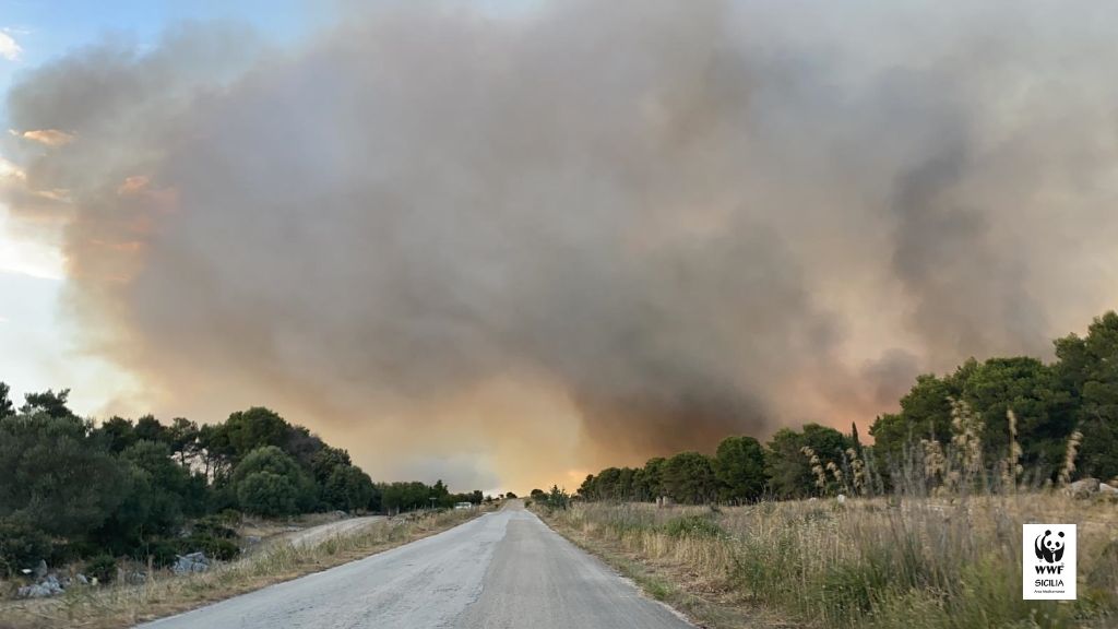 Dopo gli incendi nell'Agrigentino un altro passo avanti alla Regione per le misure di contrasto con il contributo del Wwf