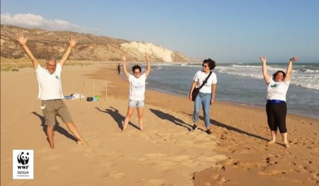 Wwf Sicilia, i volontari ispezionano la costa alla ricerca di nidificazioni di Fratino e Caretta caretta