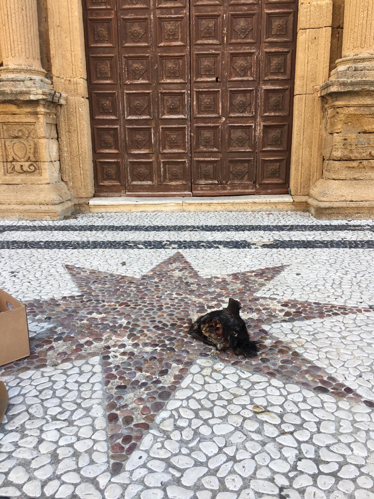 Animali mozzati dinnanzi due chiese di Sciacca, il parlamentare Catanzaro:"Vicino a padre Pasqualino e a tutta la comunità di San Michele"